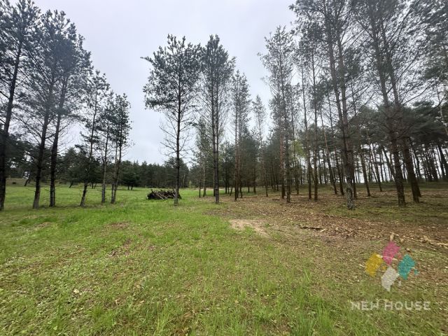 Działka budowlana Tałty. Zdjęcie 2