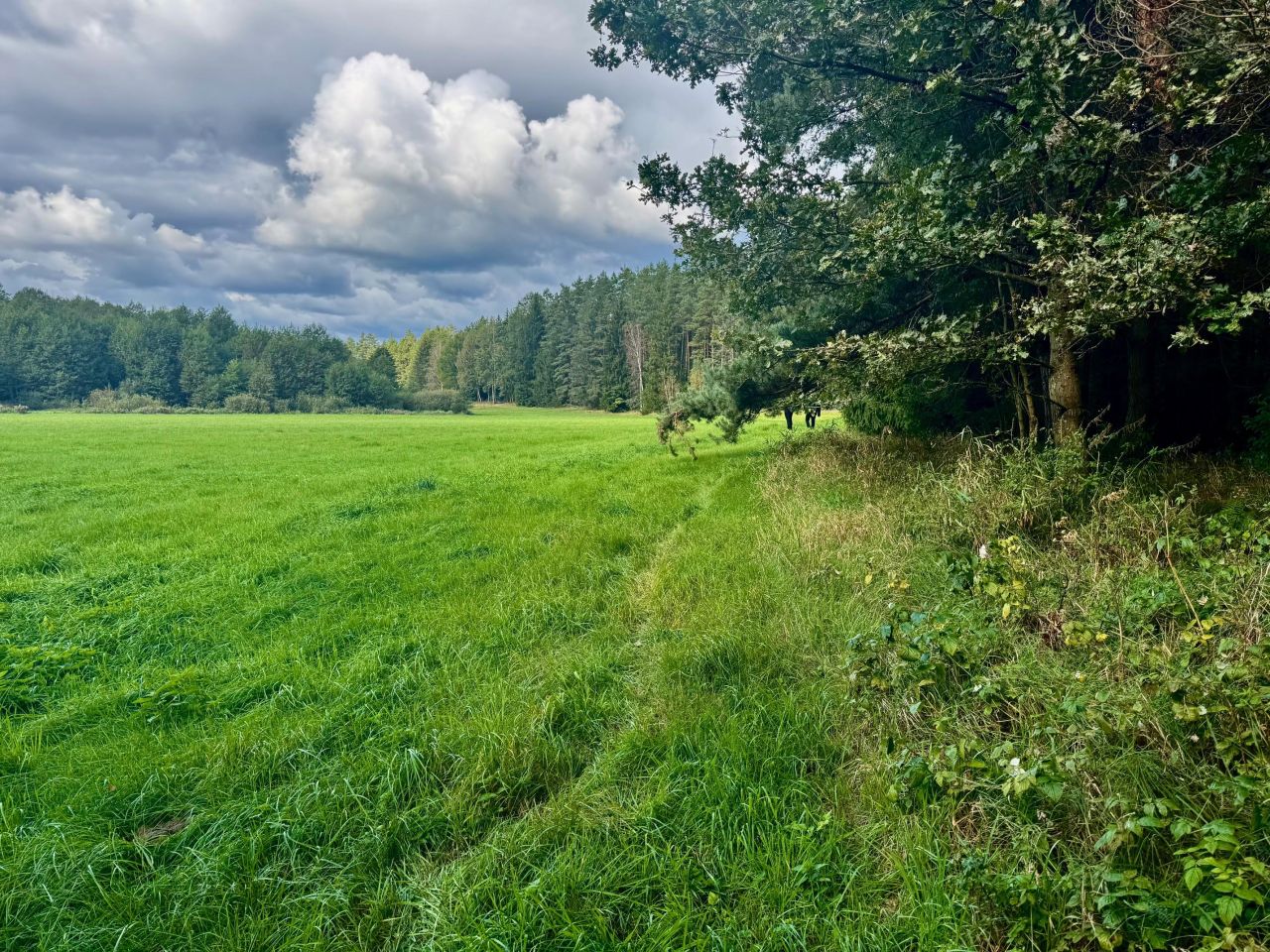 Działka rolna Nitki. Zdjęcie 4