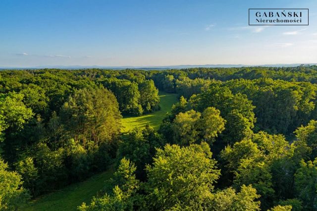 Działka budowlana Zaczarnie. Zdjęcie 7