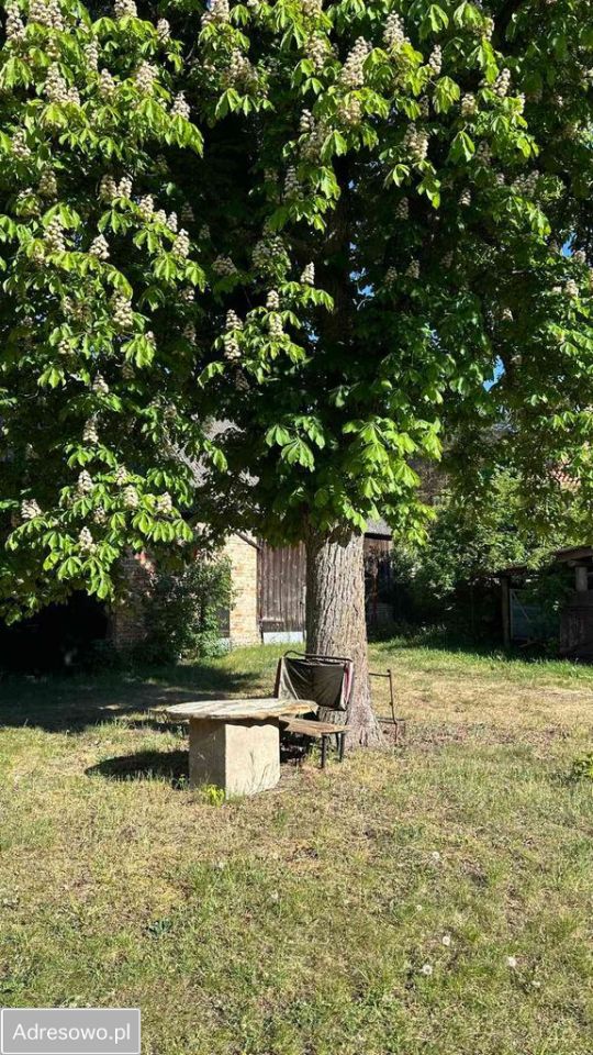 gospodarstwo, 3 pokoje Goszczanowo. Zdjęcie 4