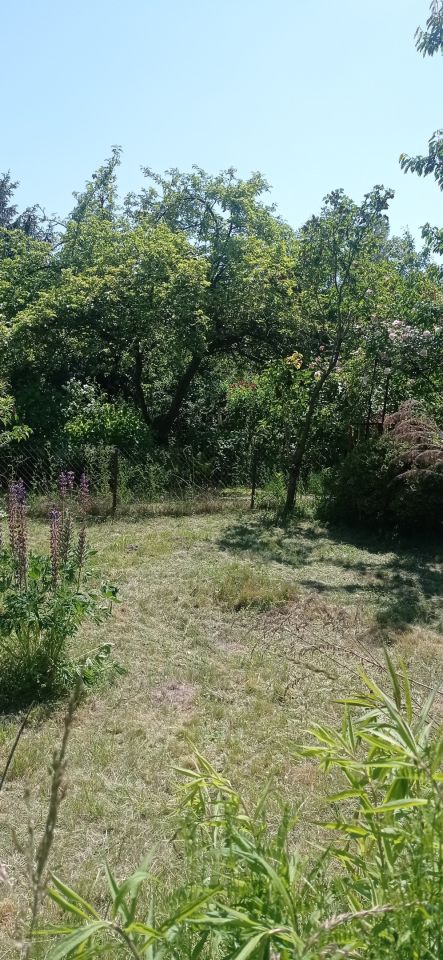 Działka rod Łódź Widzew, ul. Lodowa. Zdjęcie 60