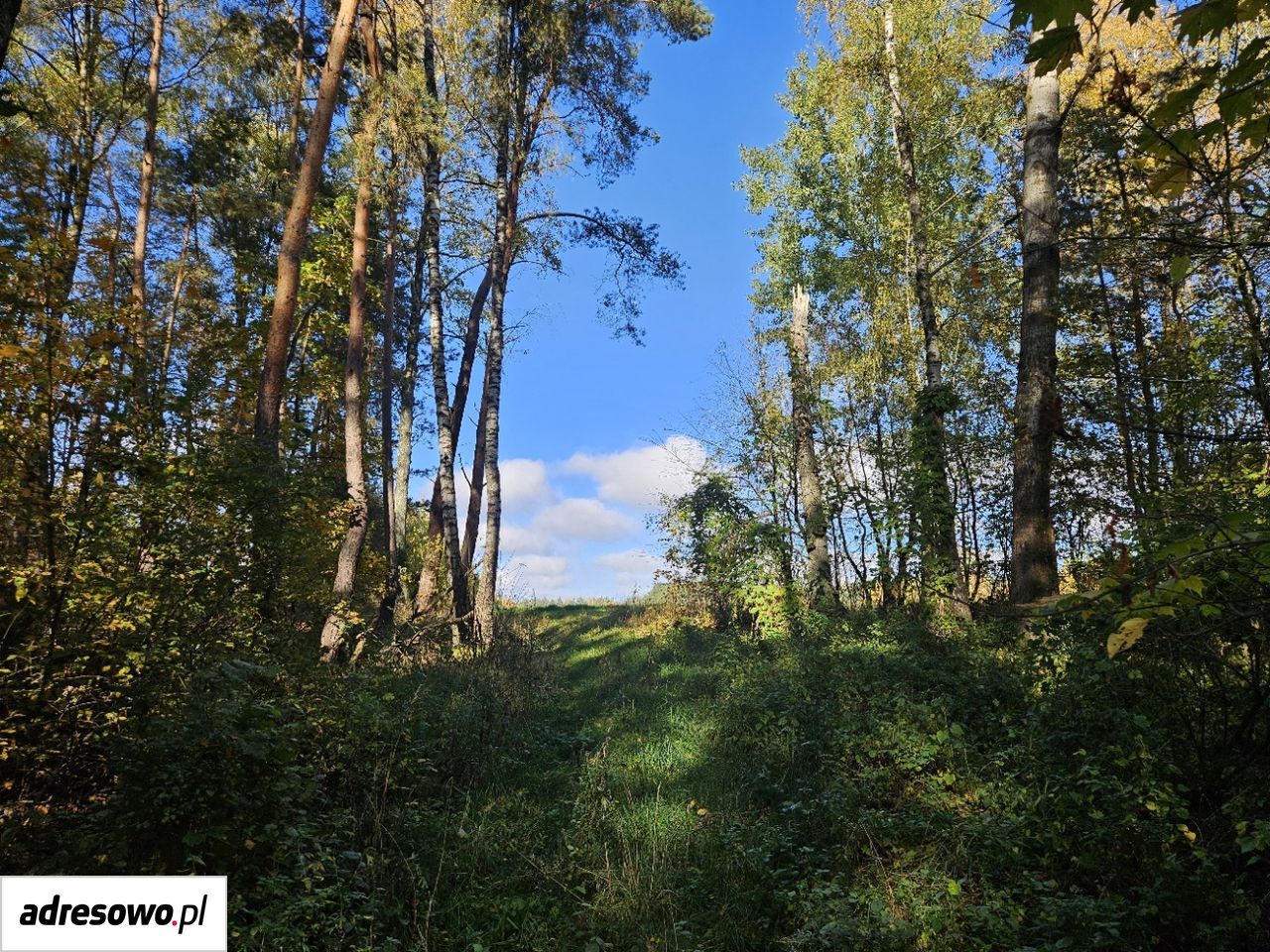 Działka budowlana Pomigacze, ul. Kwiatowa. Zdjęcie 13