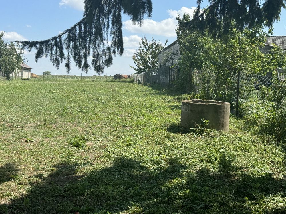 inny Pniewiski. Zdjęcie 3