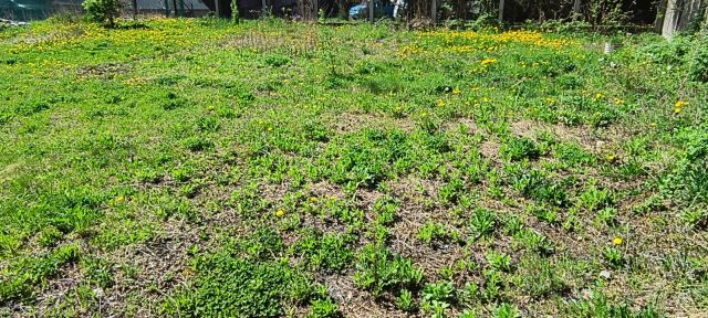Działka budowlana Bielsko-Biała Hałcnowska Kępa, ul. Czerwona. Zdjęcie 1