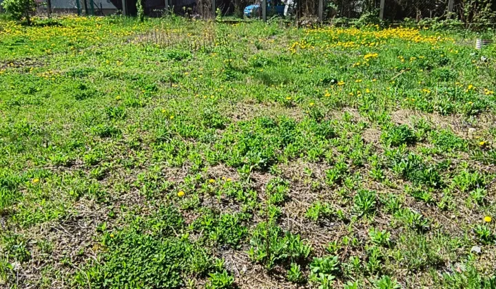 Działka budowlana Bielsko-Biała Hałcnowska Kępa, ul. Czerwona