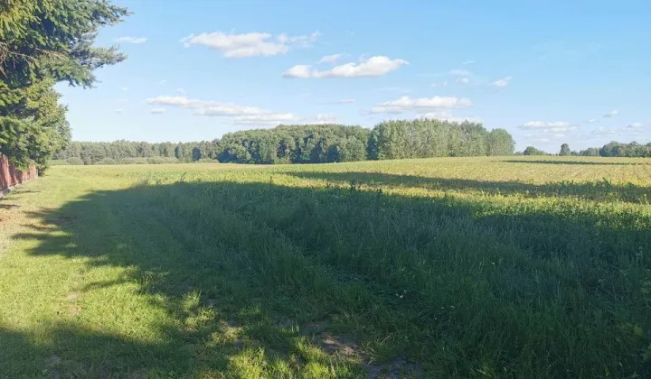 Działka rolna Skarszewy