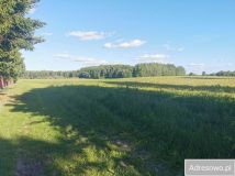 Działka rolna Skarszewy