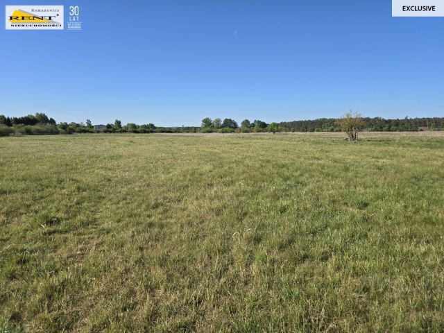 Działka rolna Szczecin. Zdjęcie 12