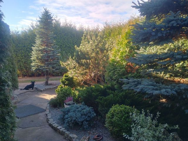 dom wolnostojący, 6 pokoi Kębliny. Zdjęcie 38