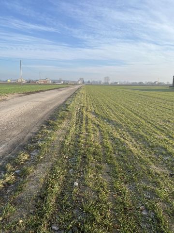 Działka rolna Walentynowo. Zdjęcie 1