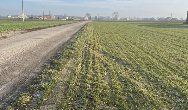 Działka rolna Walentynowo