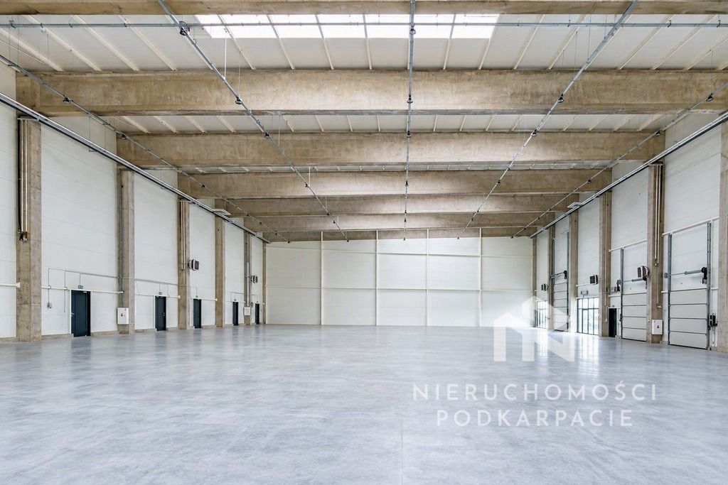 Hala/magazyn Rzeszów Dworzysko. Zdjęcie 16