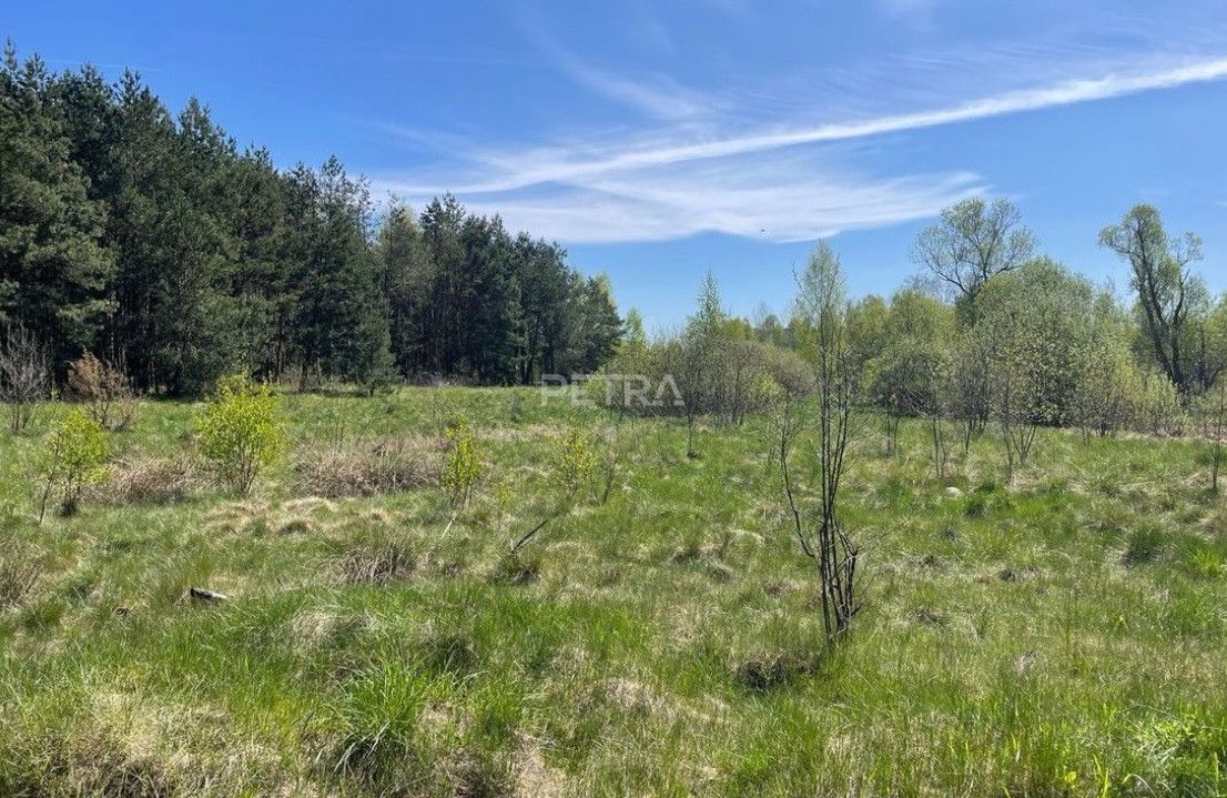 Działka inwestycyjna Węgrów, ul. Miedzanka. Zdjęcie 5