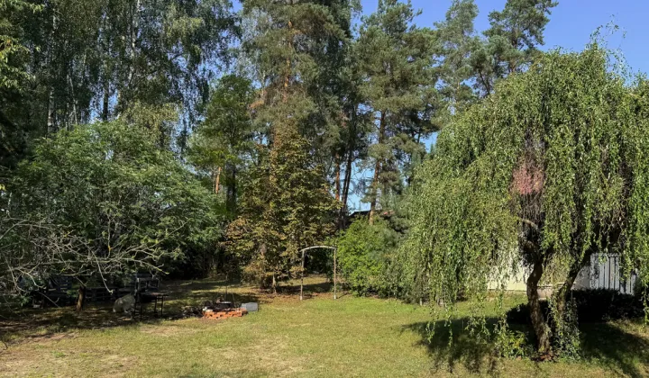 Nieruchomość komercyjna Ruda