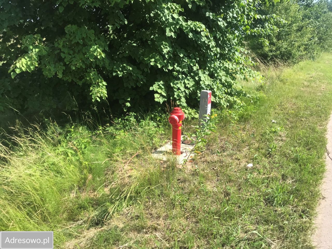 Działka budowlana Józefów, ul. Akacjowa. Zdjęcie 6