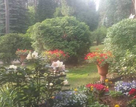 Nieruchomość komercyjna Wólka Radzymińska, ul. Szkolna. Zdjęcie 8