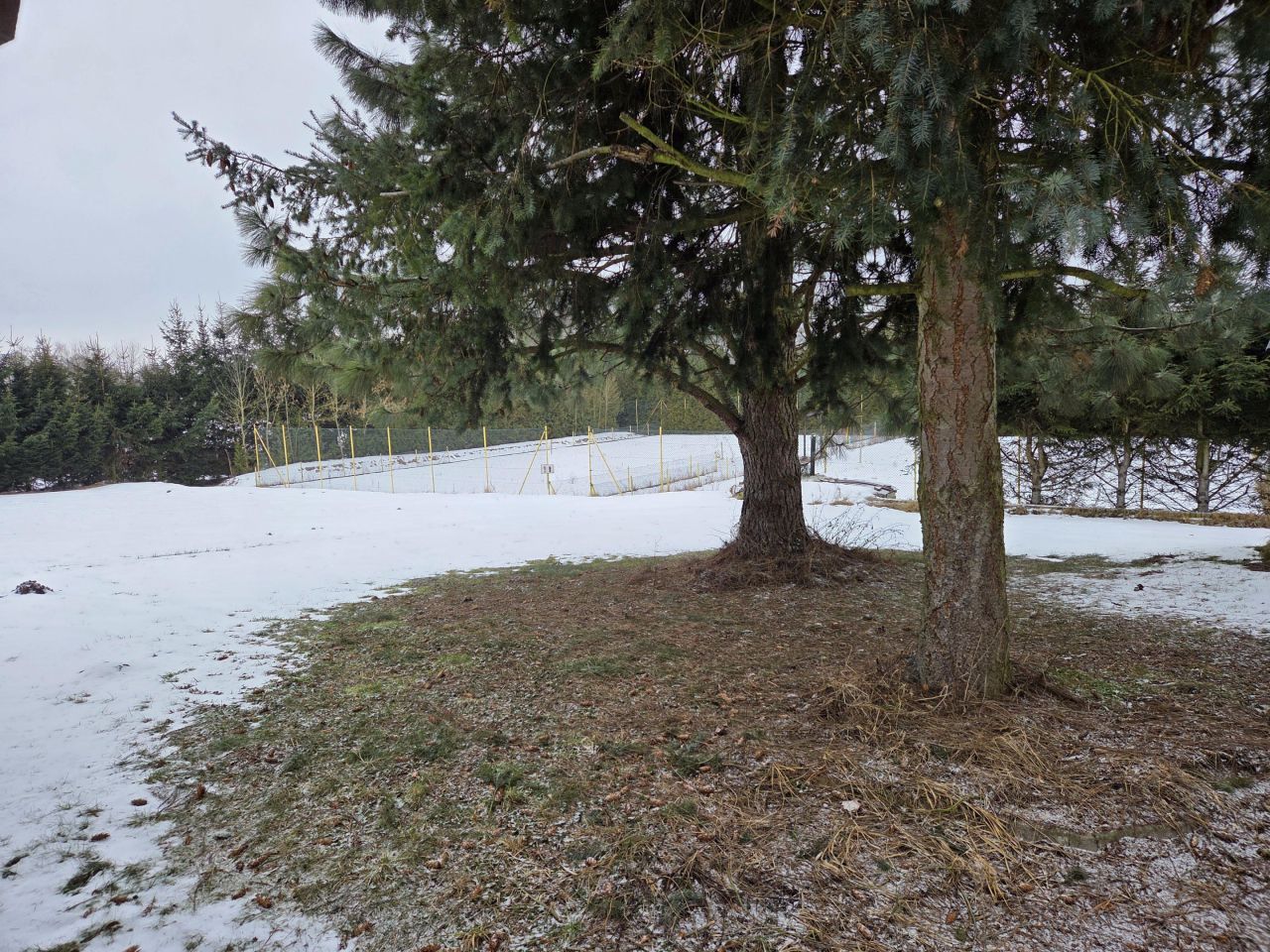 dom wolnostojący, 7 pokoi Strączno. Zdjęcie 89