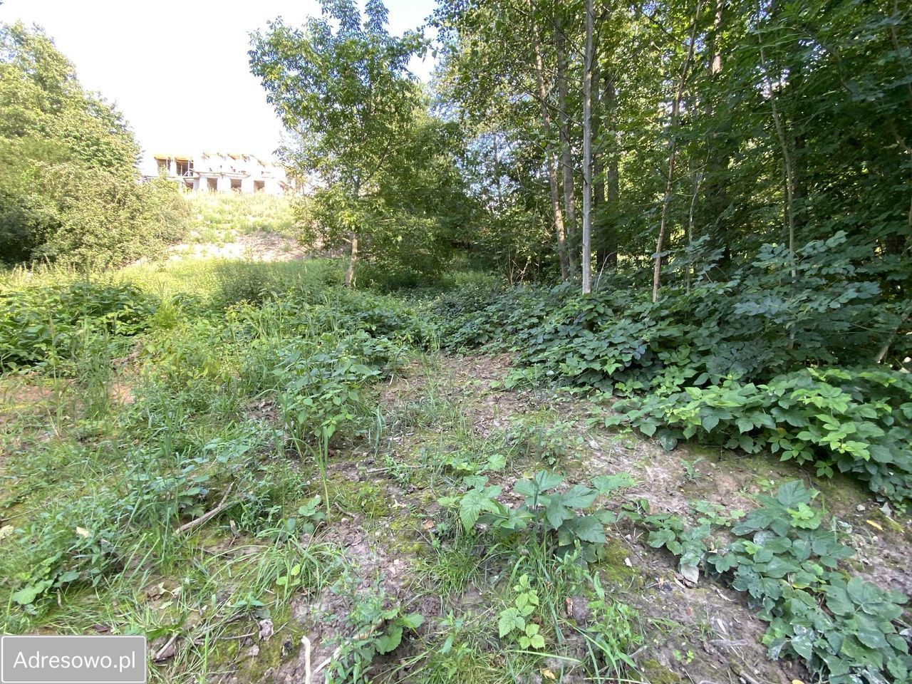 Działka budowlana Michałowice, ul. Na Gródek. Zdjęcie 5