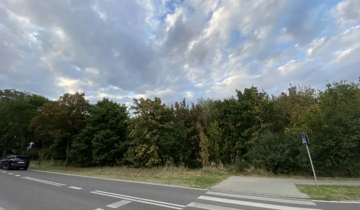 Działka budowlana Parczew, ul. Kościelna