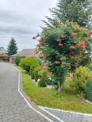 dom wolnostojący, 7 pokoi Drohojów. Zdjęcie 29