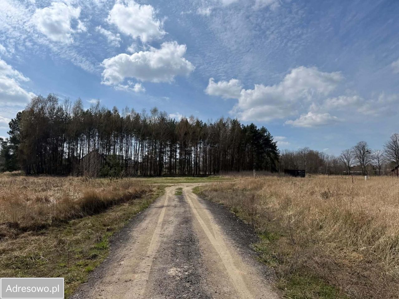 Działka budowlana Lipiany, os. Podmiejskie. Zdjęcie 6
