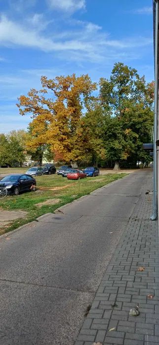 Mieszkanie 2-pokojowe Słubice. Zdjęcie 6
