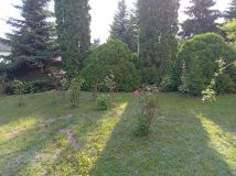 dom wolnostojący Bieniewice, ul. Południowa. Zdjęcie 4