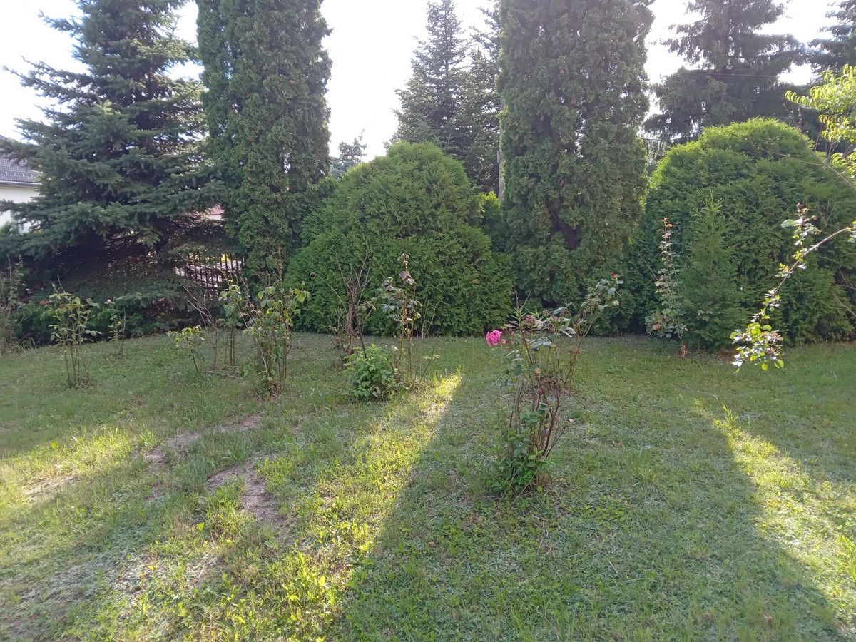 dom wolnostojący Bieniewice, ul. Południowa. Zdjęcie 5