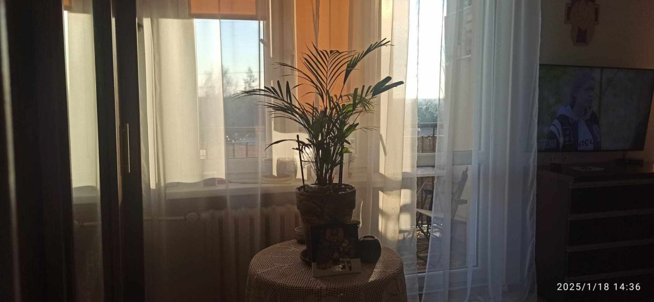 Mieszkanie 2-pokojowe Ryki, ul. Wincentego Witosa. Zdjęcie 4