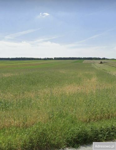 Działka rolna Zakrzów. Zdjęcie 1