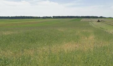 Działka rolna Zakrzów
