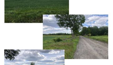 Działka rolna Zielona Góra Zawada