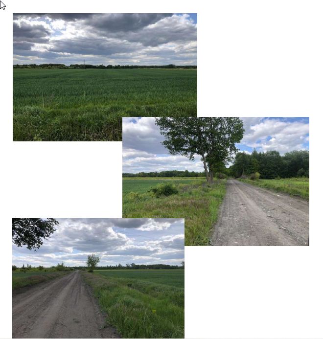 Działka rolna Zielona Góra Zawada. Zdjęcie 2