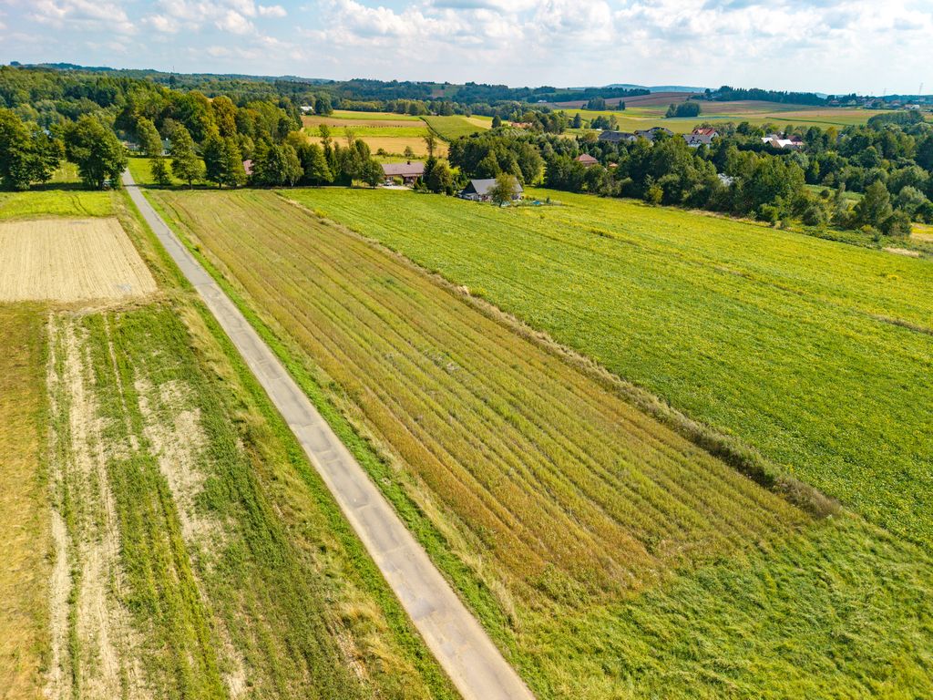 Działka budowlana Korczyna, ul. Wierzbowa. Zdjęcie 6