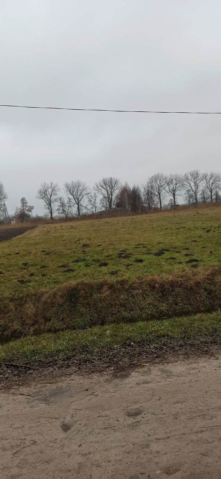Działka budowlana Stary Dybów, ul. Napoleońska. Zdjęcie 3