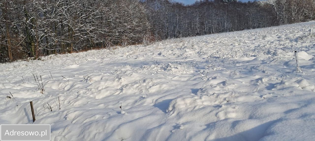 Działka rekreacyjna Kierzkowo. Zdjęcie 2