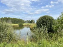 Działka rolna Henrykowo. Zdjęcie 3