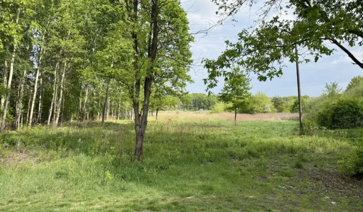 Działka budowlana Komorów, ul. Polna