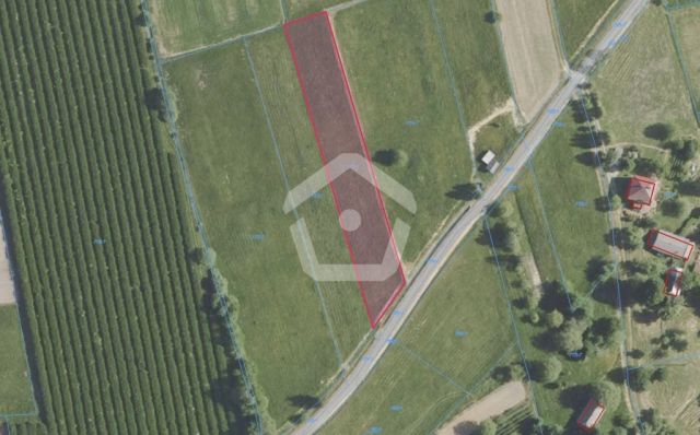 Działka Straszydle. Zdjęcie 7