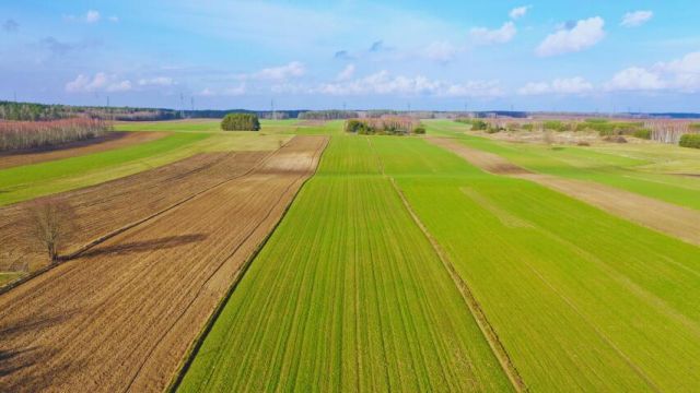 Działka budowlana Stare Modzele. Zdjęcie 5