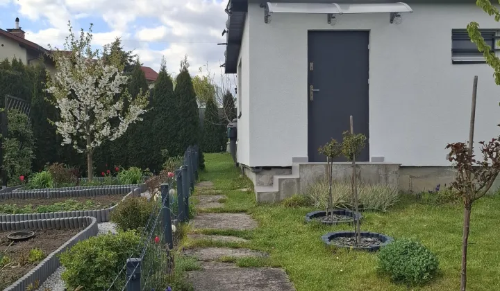 Działka rod Będzin, ul. Grabowa