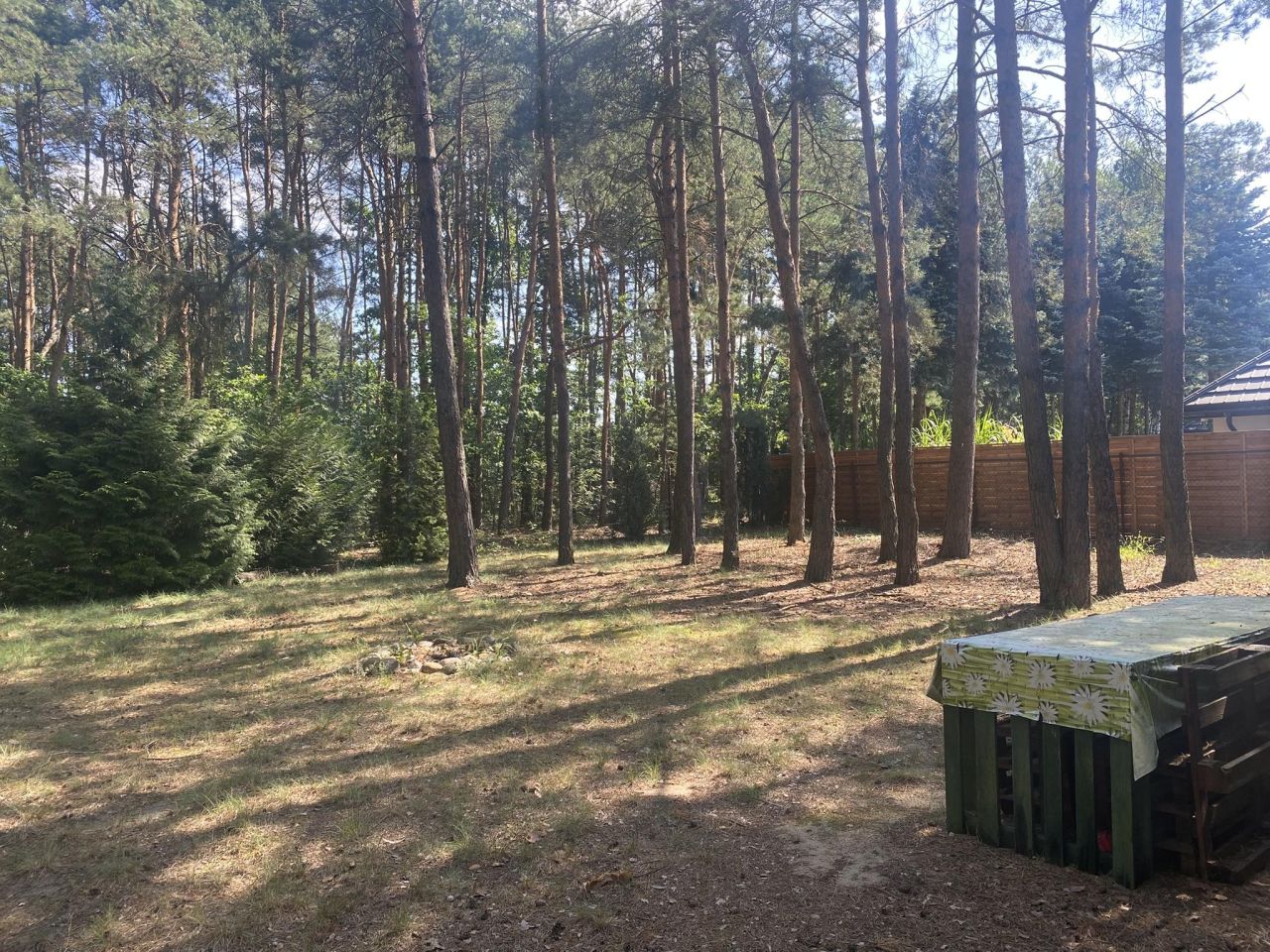 Działka budowlana Kępa Niemojewska Budy Grzegorzewskie. Zdjęcie 2