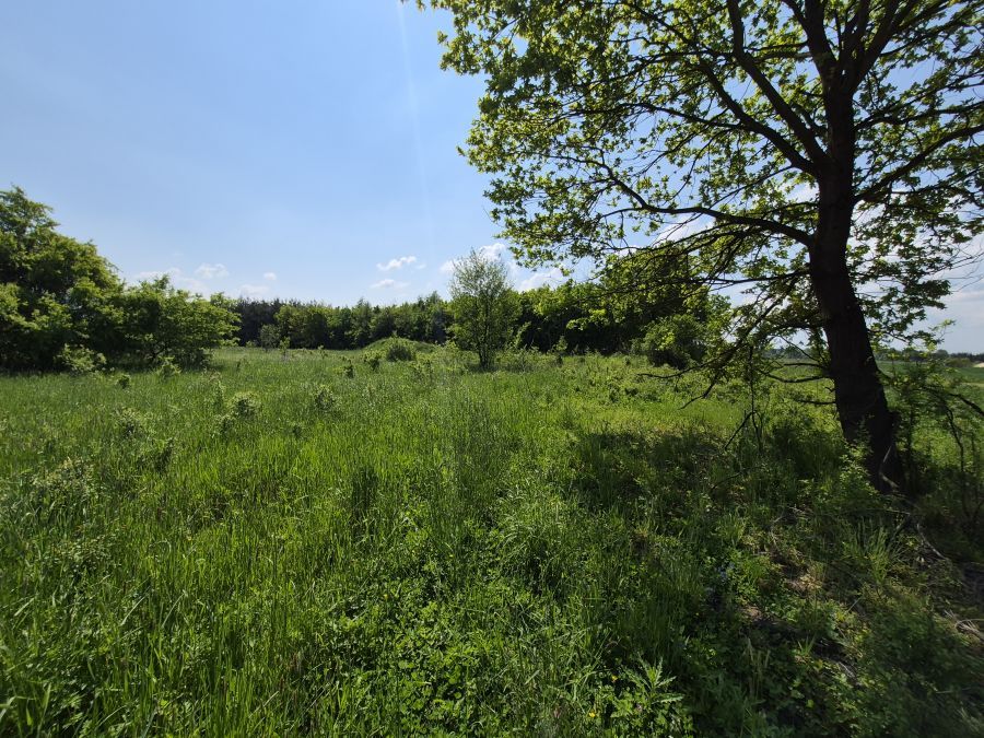 dom wolnostojący, 5 pokoi Strzelce Wielkie. Zdjęcie 9
