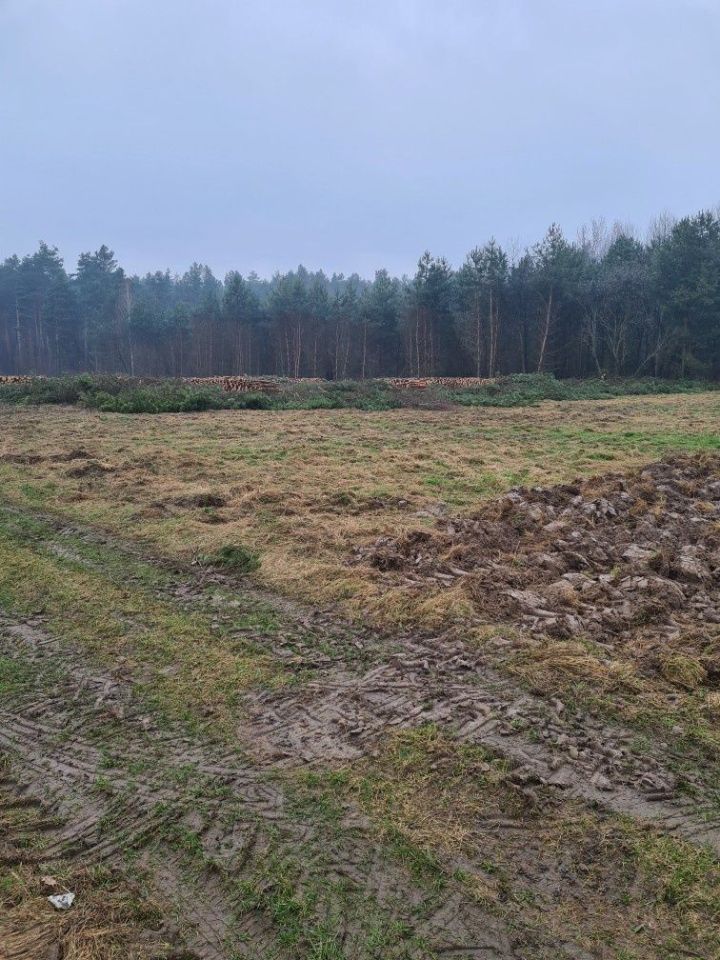 Działka budowlana Rabinówka. Zdjęcie 3