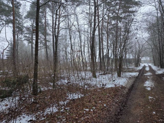 Działka budowlana Grabowa Błojec. Zdjęcie 1