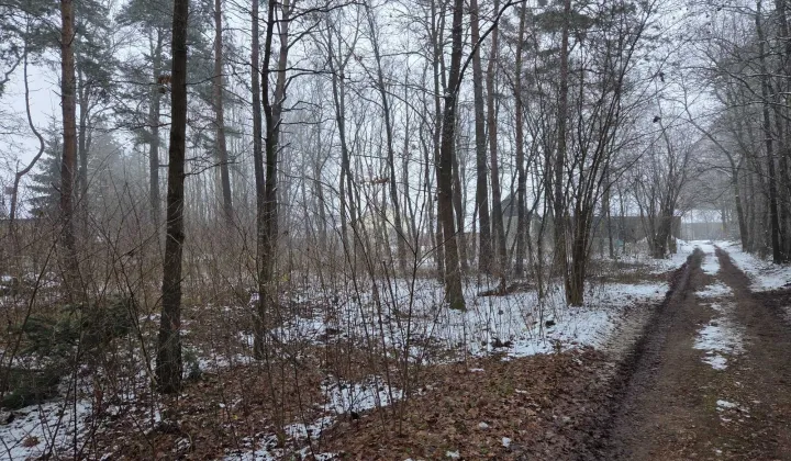 Działka budowlana Grabowa Błojec