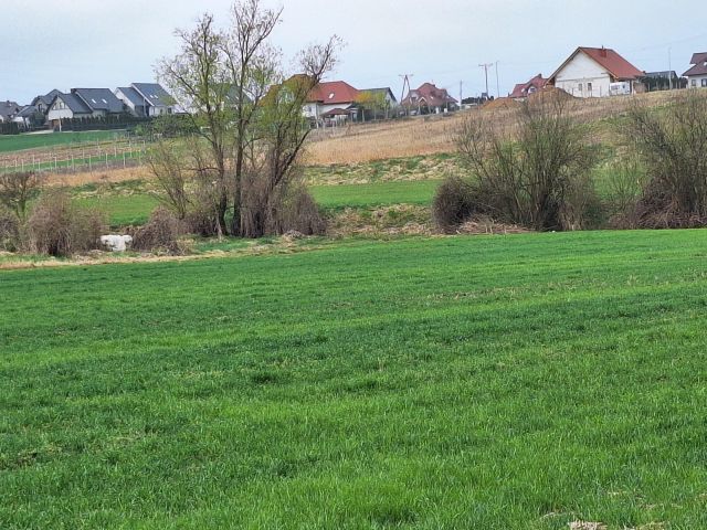 Działka budowlana Jaczów, ul. Polna. Zdjęcie 1