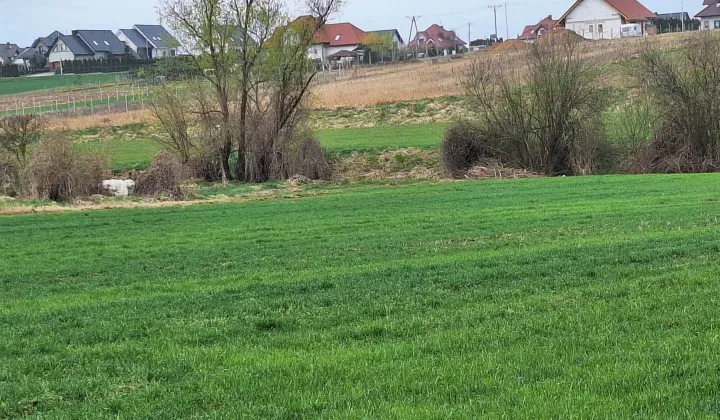 Działka budowlana Jaczów, ul. Polna