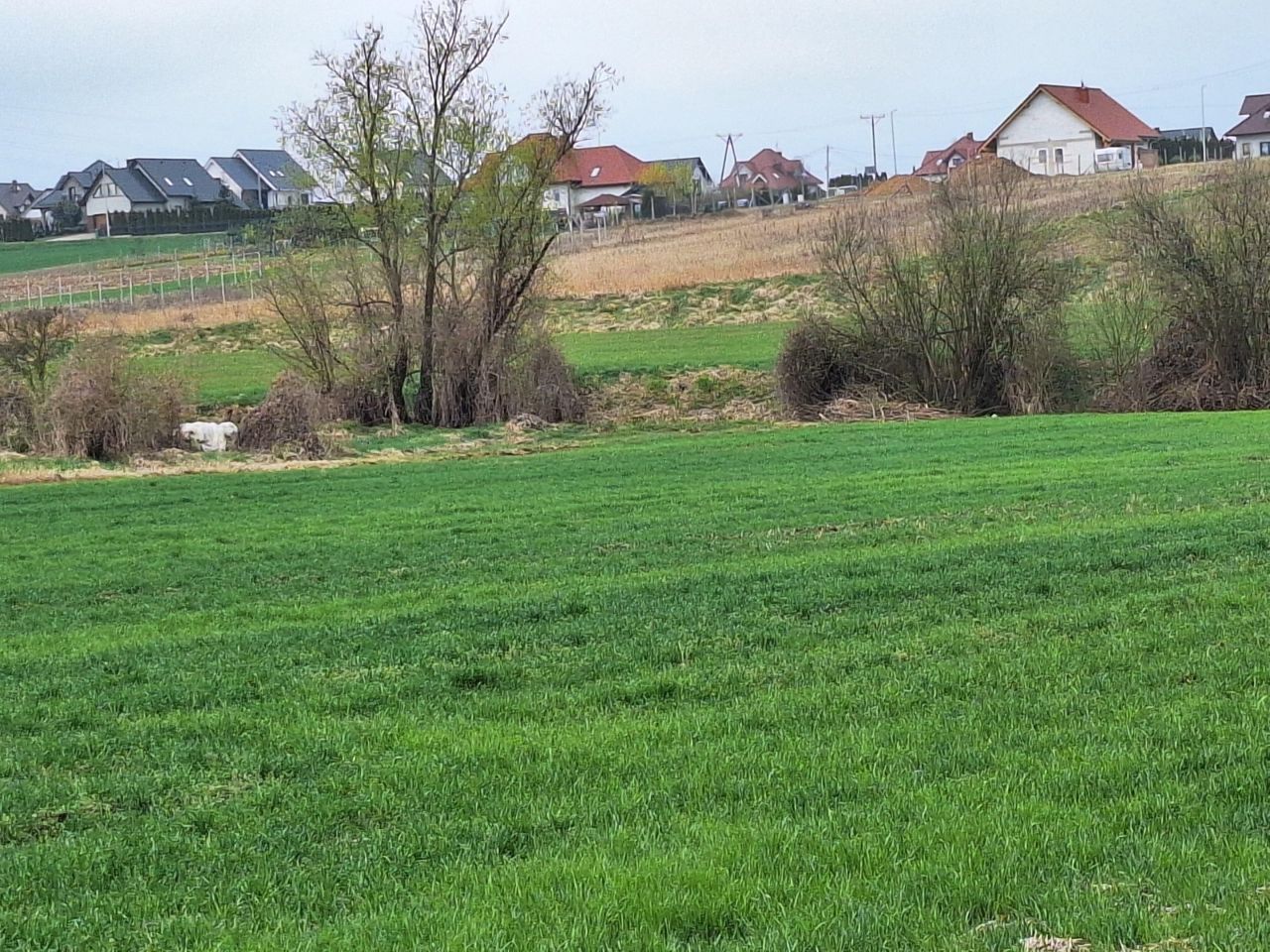 Działka budowlana Jaczów, ul. Polna. Zdjęcie 1