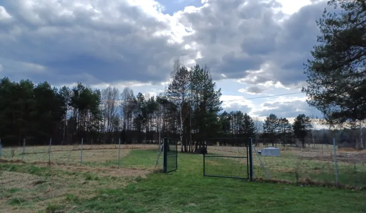 Działka rolno-budowlana Dziuchy, Nowy Przykop
